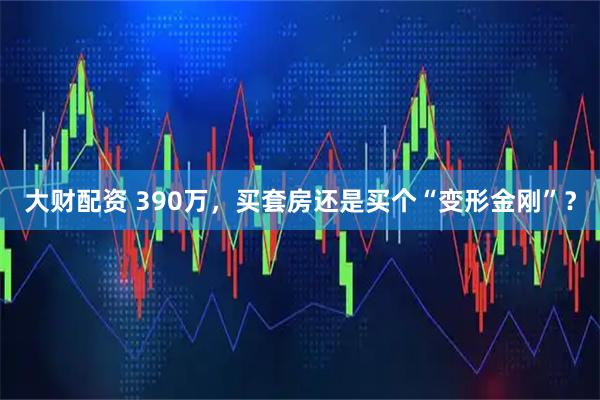 大财配资 390万，买套房还是买个“变形金刚”？