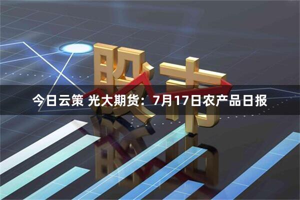 今日云策 光大期货：7月17日农产品日报