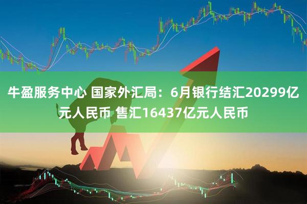 牛盈服务中心 国家外汇局:6月银行结汇20299亿元人民币 售汇16437亿元人民币