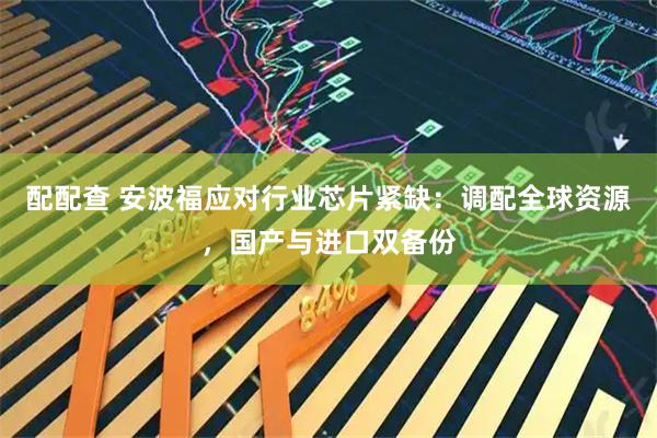 配配查 安波福应对行业芯片紧缺:调配全球资源,国产与进口双备份