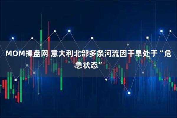 MOM操盘网 意大利北部多条河流因干旱处于“危急状态”
